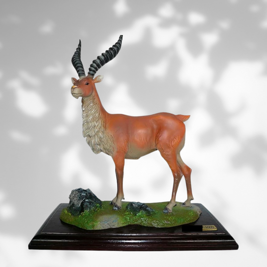 Studio Ghibli Collection Series Image Collection: Princess Mononoke "Yakul"